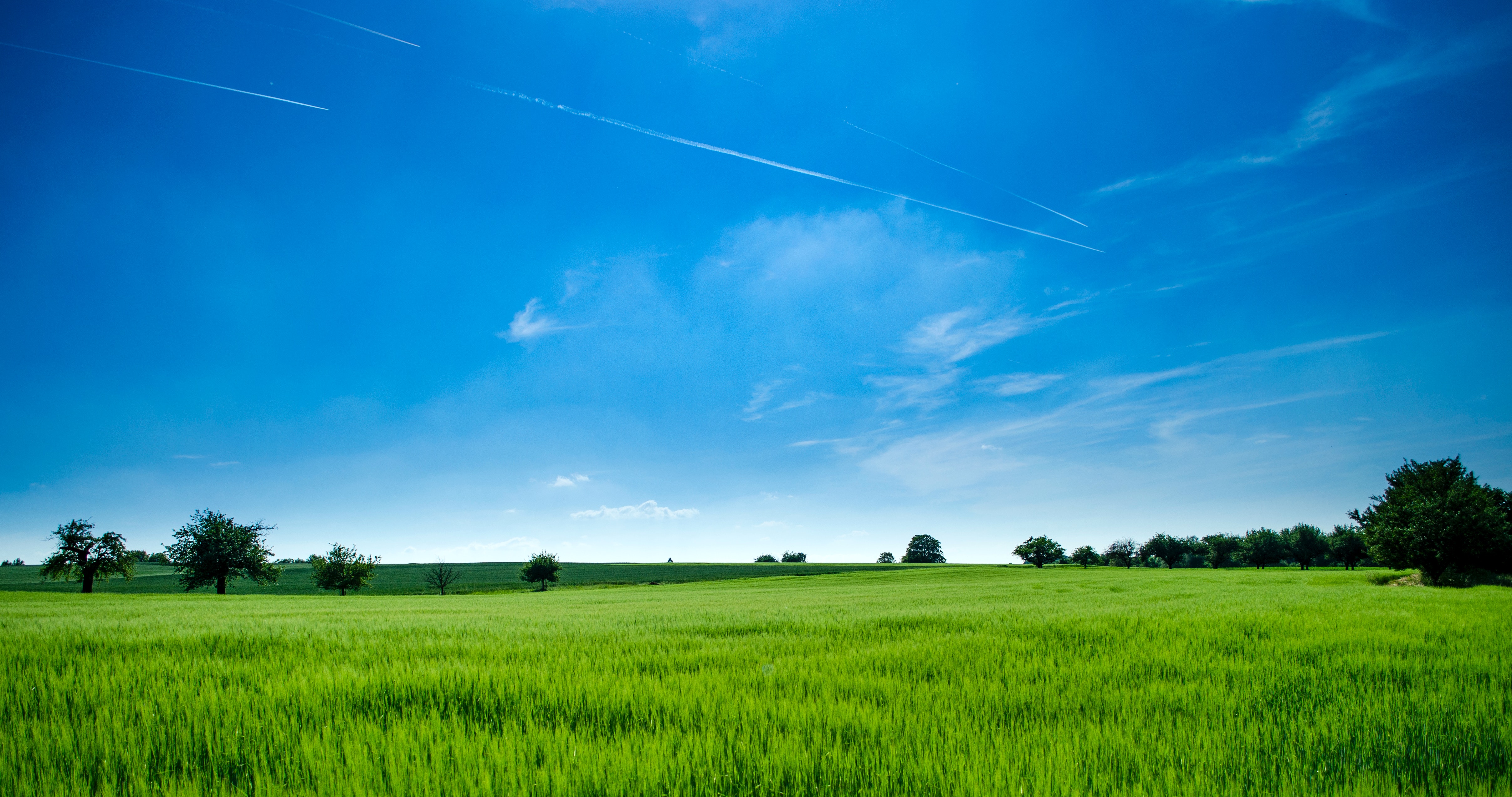 Agricultural land to purchase in Longmont, CO